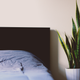 Foto de Mark Solarski en Unsplash